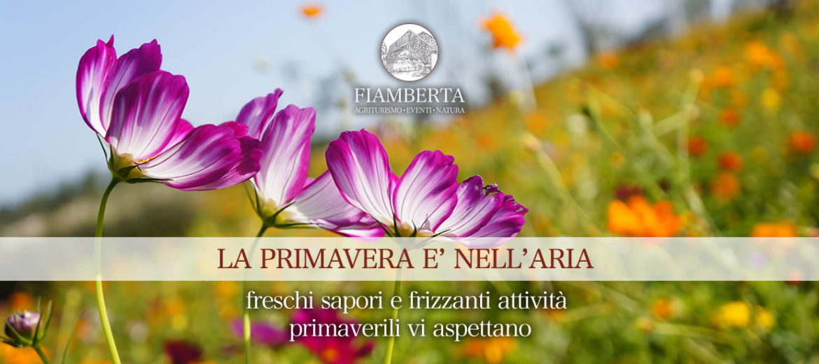 La primavera è nell'aria... e a Fiamberta!