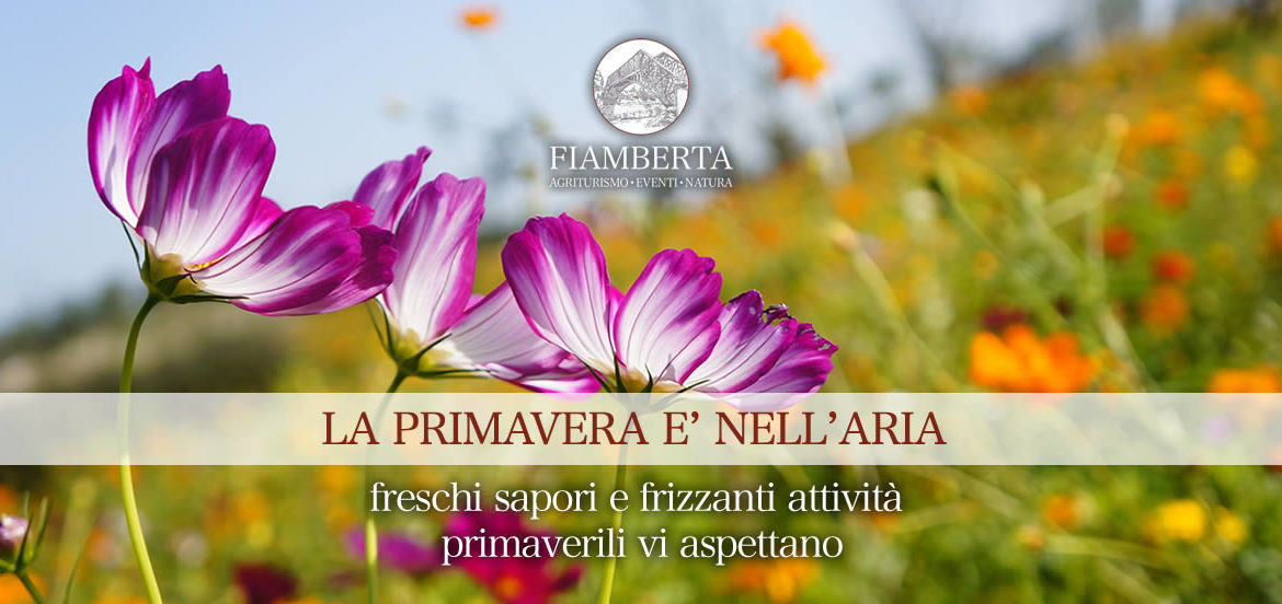 La primavera è nell'aria... e a Fiamberta!